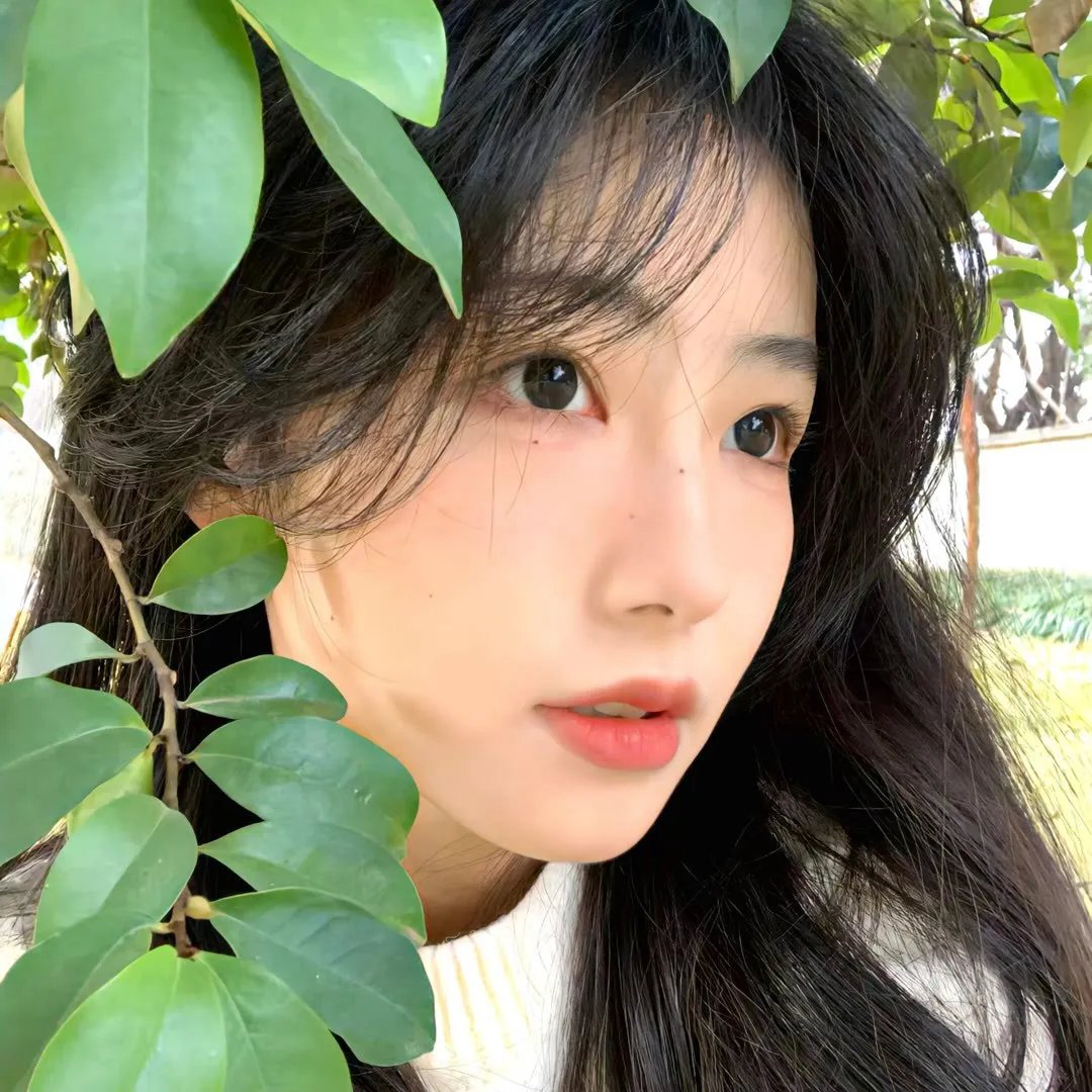 雪国少女心